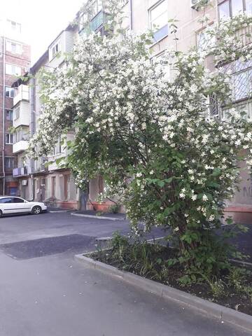Фотографии Апартаменты Квартира у моря, в шаговой доступности до центрального пляжа г. Мариуполь (Украина) №5 Фото Апартаменты Квартира у моря, в шаговой доступности до центрального пляжа г. Мариуполь 5